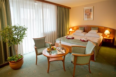 Hotel Palace Hévíz