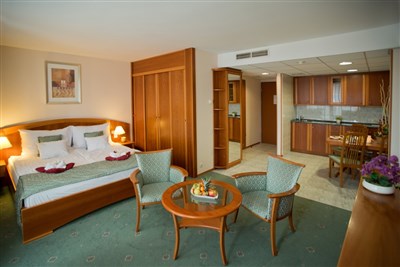 Hotel Palace Hévíz