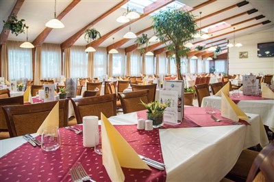 Hotel Palace Hévíz