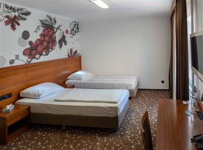 Hotel Piramida - Slovinsko, Maribor, hotel Piramida - pokoj typu Comfort