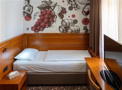 Hotel Piramida - Slovinsko, Maribor, hotel Piramida - pokoj typu SGL