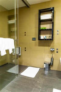 Hotel AquaCity Riverside