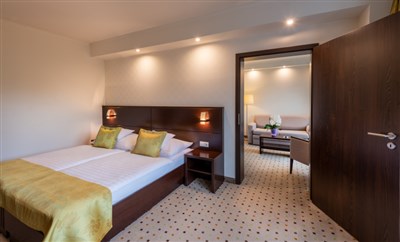 Hunguest Hotel Gyula ( ex. Dürer  )