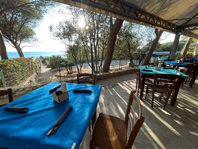 Mobilní domky kemp El Bahira Village