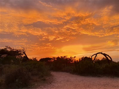 Mobilní domky kemp S'ena Arrubia