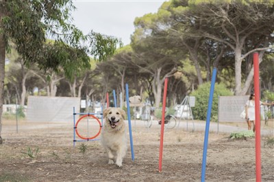 Mobilní domky kemp S'ena Arrubia
