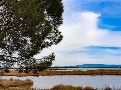 Mobilní domky kemp S'ena Arrubia
