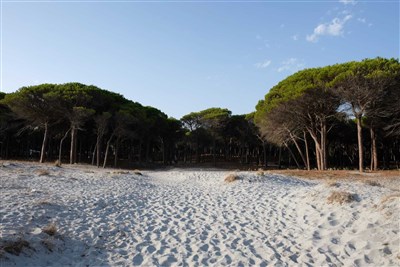 Mobilní domky kemp Selema