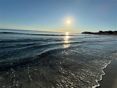 Mobilní domky kemp Selema