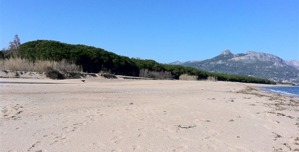 Mobilní domky kemp Iscrixedda