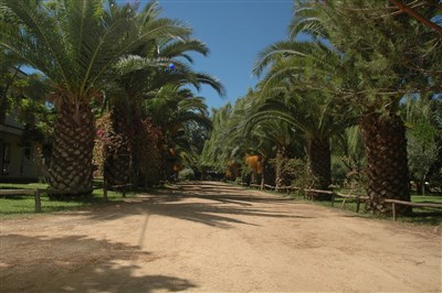 Mobilní domky kemp Iscrixedda