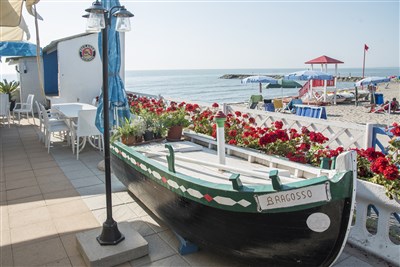 Mobilní domky kemp Rosapineta Village