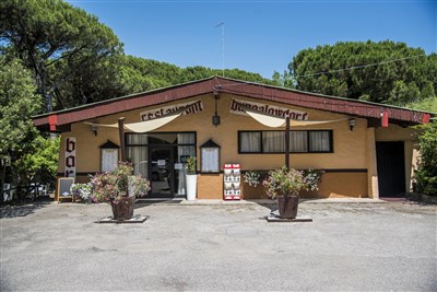 Mobilní domky kemp Rosapineta Village