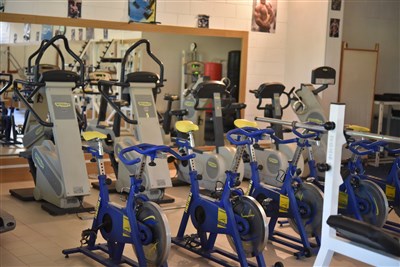 Mobilní domky kemp Rosapineta Village