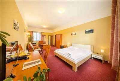 Hotel Záviš z Falkenštejna